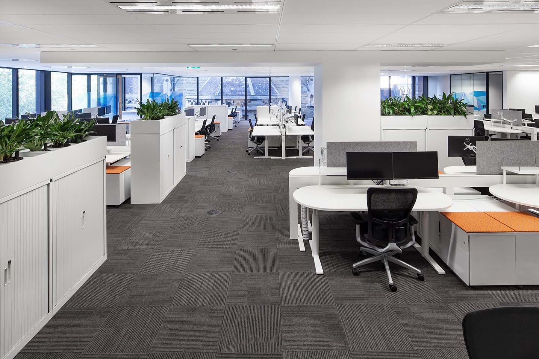 Instalação de carpetes vinílicos